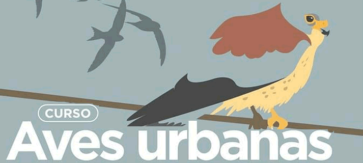 La Sociedad Española de Ornitología en Sevilla toma el Alamillo como referente en un curso sobre aves urbanas