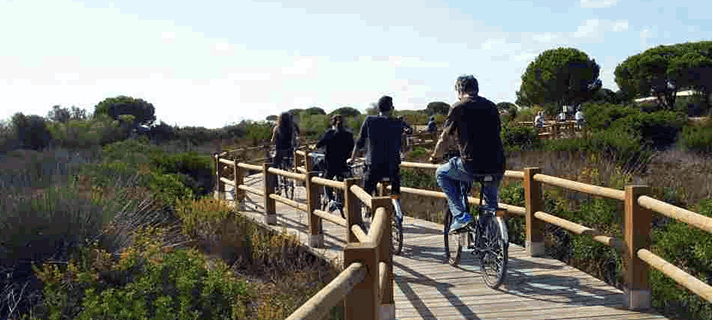 La Junta licita la construcción de vías ciclistas y peatonales en el parque de Los Toruños y Pinar de la Algaida