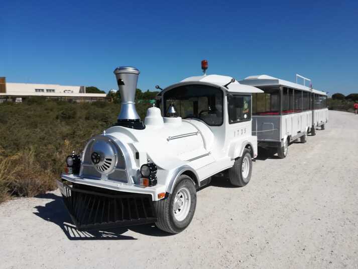 El servicio de tren de la Casa de los Toruños a la playa de Levante se mantendrá hasta el domingo