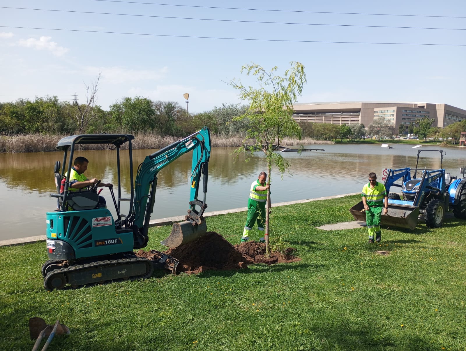  La Junta acomete un proceso de reforestación con nuevos árboles y arbustos en el Parque del Alamillo