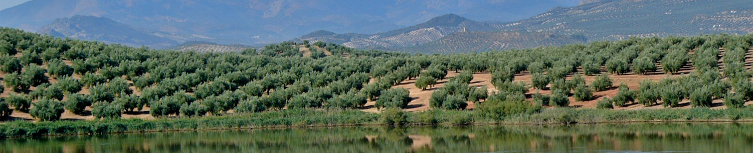 Vistas de Jaén
