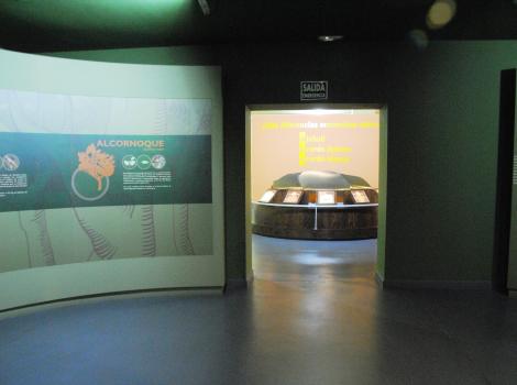 Museo del jamón vista interior