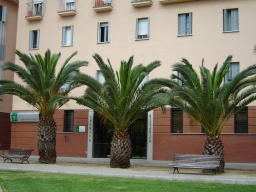Edificio archivo actual