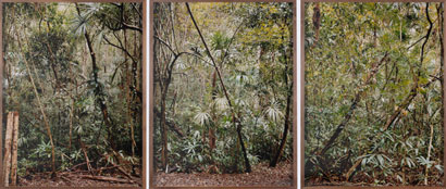 XAVIER RIBAS. Sin título, 2006. Serie Estructuras invisibles 6-7-8. Nº Edición 2/6. Tríptico (155 x 120 cm c/u). Fotografía. Impresión digital