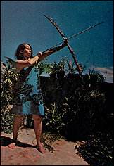 ANNA BELLA GEIGER. Nativo Brasil alienígena. 1977