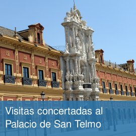 San Telmo - Visitas concertadas