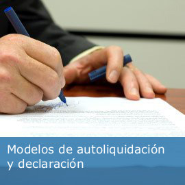 Modelos y formularios 
