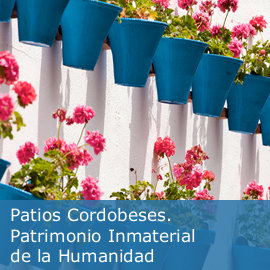 Patrimonio Inmaterial de la Humanidad