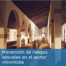 Guía de buenas prácticas en prevención de riesgos laborales en el sector vitivinícola