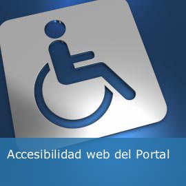 Accesibilidad web del Portal