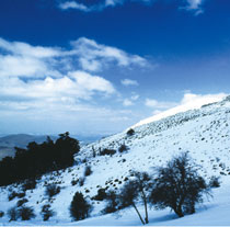 La Sierra de las Nieves será el tercer parque nacional andaluz