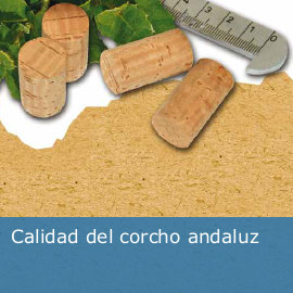 Calidad del corcho andaluz
