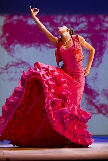 flamenco.jpg