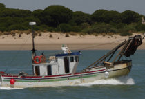 Pesca