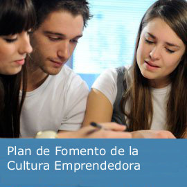 Plan de Fomento de la Cultura Emprendedora en el Sistema Educativo Público 
