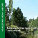 Plan forestal andaluz: Horizonte 2015 
