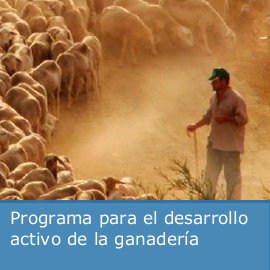Programa para el desarrollo activo de la ganadería