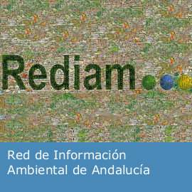 Rediam