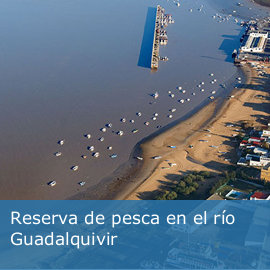Reserva de pesca en el río Guadalquivir
