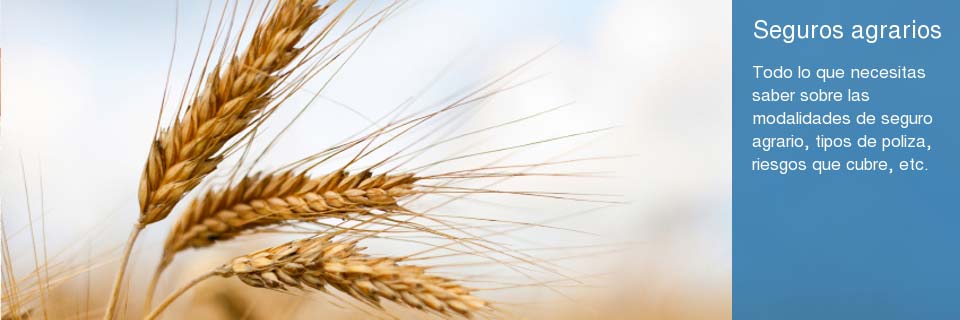 Seguros agrarios
