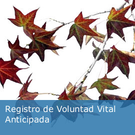 Registro de Voluntad Vital Anticipada