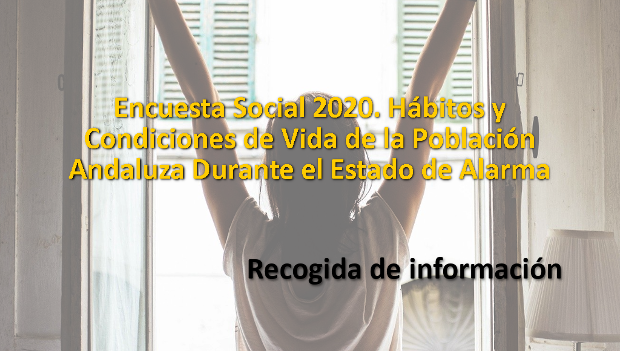 Encuesta Social 2020. Hábitos y Condiciones de Vida de la Población Andaluza Durante el Estado de Alarma