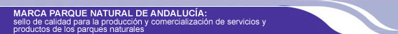 marca