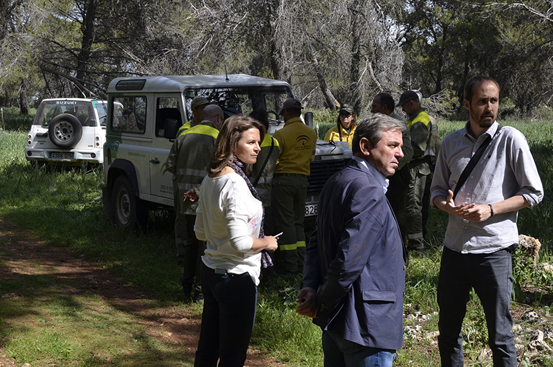 Infoca y Agentes de Medio Ambiente realizan un ejercicio para coordinar acciones ante un incendio forestal