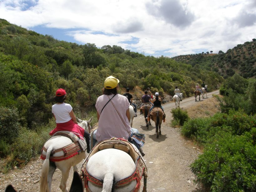 Parque natural sierra de cardeña y Montoro