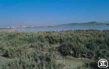 Laguna de Fuente