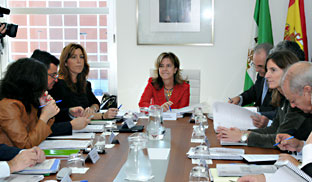 La consejera de la Presidencia e Igualdad, Susana Díaz, durante la reunión del Consejo Rector del Consorcio Aletas.