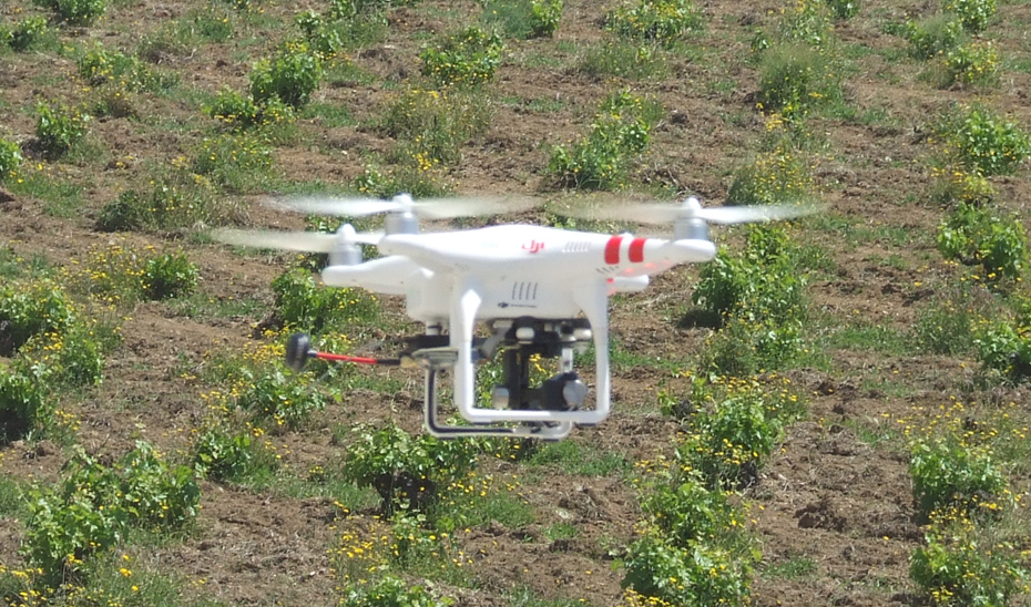 
			      Imagen de un dron sobrevolando cultivos.			    
			  