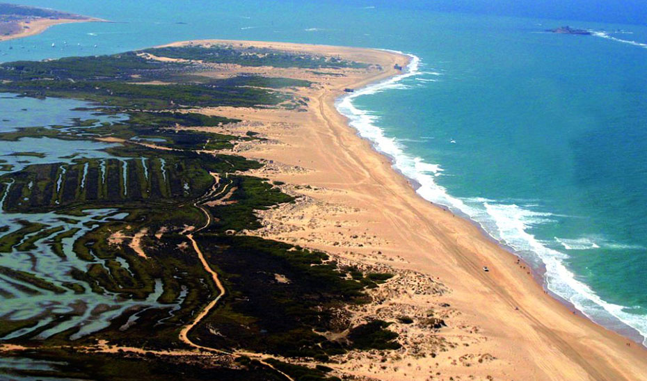 
			      Vista aérea del Parque Natural Bahía de Cádiz.			    
			  