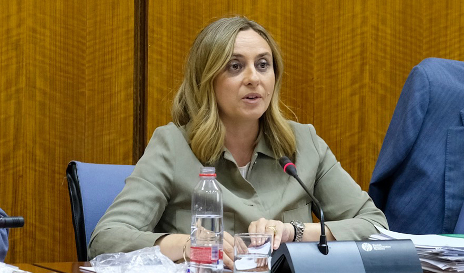 La consejera de Fomento, Marifrán Carazo, informa de los presupuestos de 2019 en comisión parlamentaria.