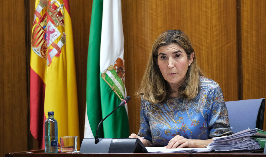 Rocío Blanco comparece en la Comisión de Empleo del Parlamento andaluz.