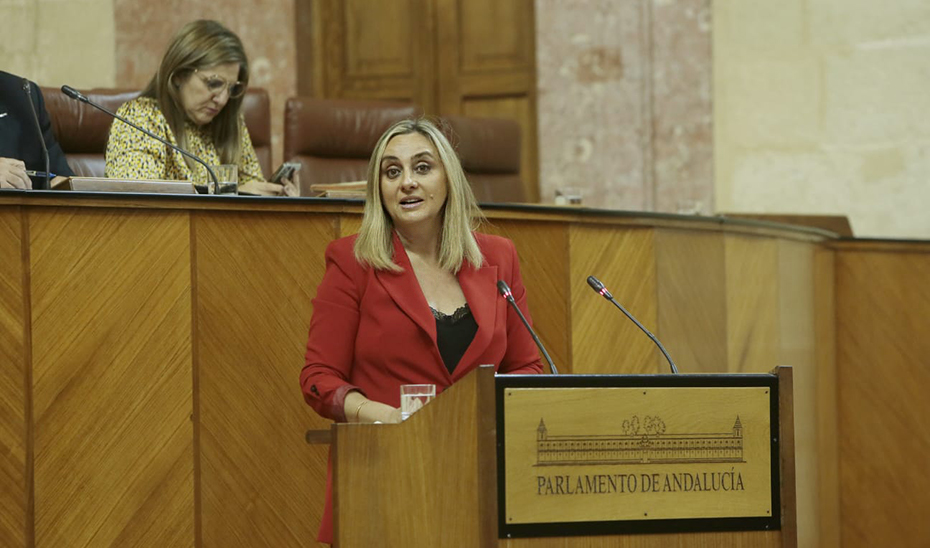 
			      La consejera Marifrán Carazo, durante su intervención en el Pleno del Parlamento.			    
			  