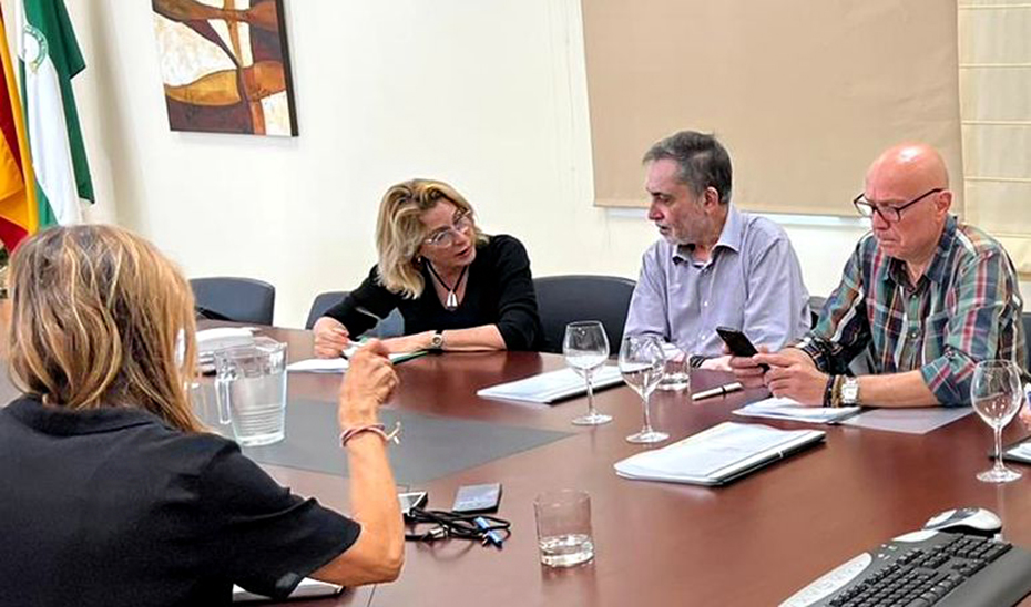 La delegada de Empleo en Málaga, Carmen Sánchez Sierra, y el director gerente del SAE, Miguel Ángel Terrero, durante la reunión.