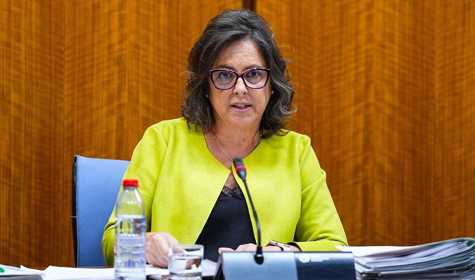 
			      Catalina García interviene durante la Comisión de Salud en el Parlamento andaluz.			    
			  