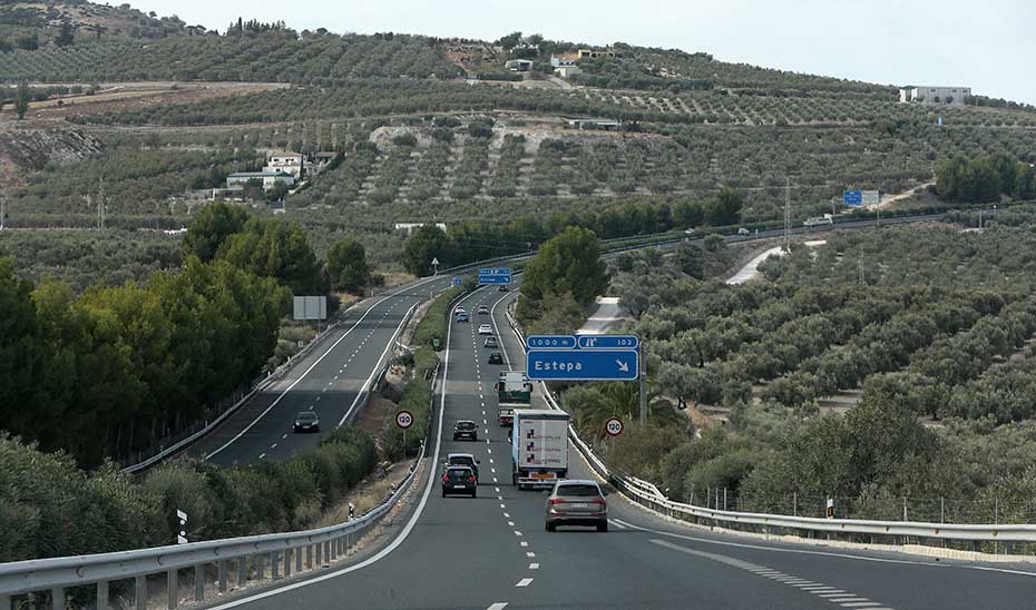Adjudicada la revegetación de autovías de Sevilla, Huelva, Córdoba y Cádiz con 4.200 plantas y arbustos