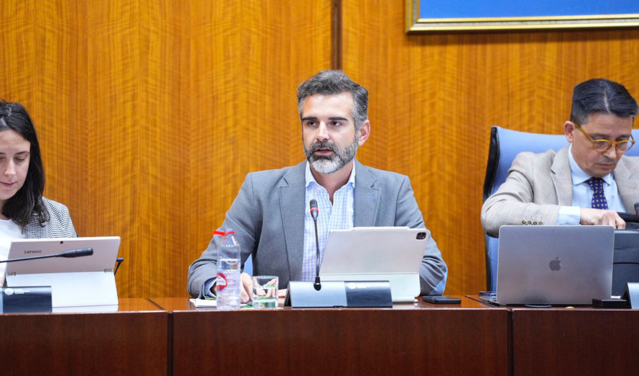 
			      El consejero de Sostenibilidad y portavoz del Ejecutivo autonómico, Ramón Fernández-Pacheco, durante la comisión parlamentaria.			    
			  