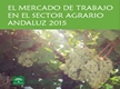 El Mercado de Trabajo en el Sector Agrario Andaluz 2015