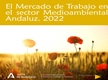 El Mercado de Trabajo en el Sector Medioambiental Andaluz 2022