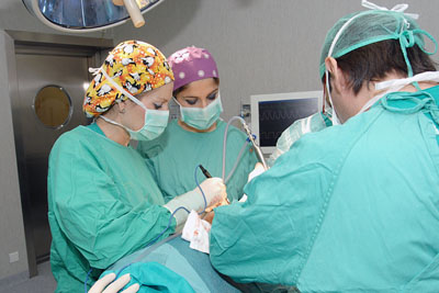 Profesionales sanitarios intervienen a un paciente en el Hospital Reina Sofía