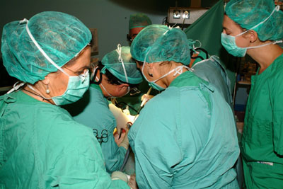 Imagen de archivo de la realización de un trasplante en el Hospital Reina Sofía