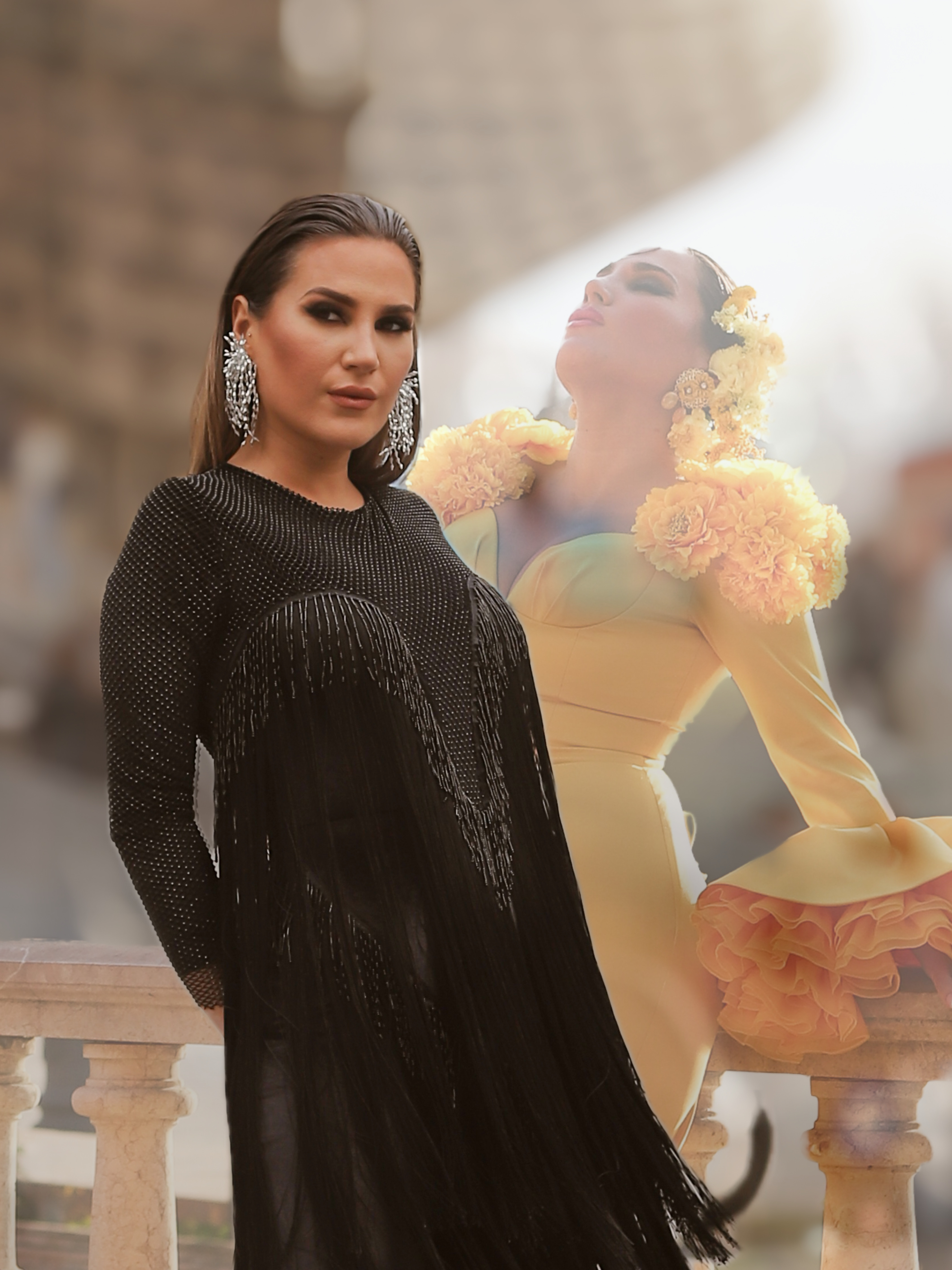 imagen del espectáculo - Paloma Brava