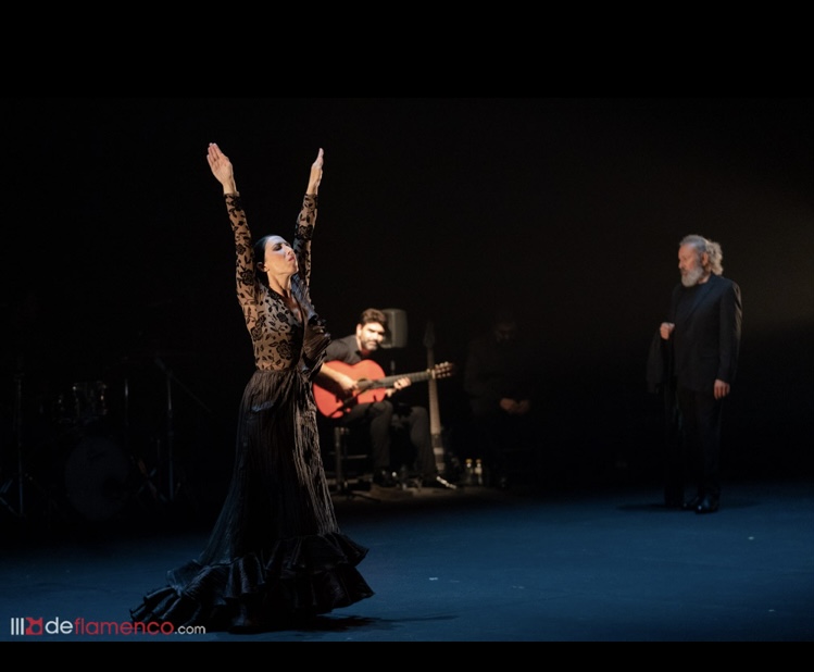 imagen del espectáculo - Más que baile. Redux