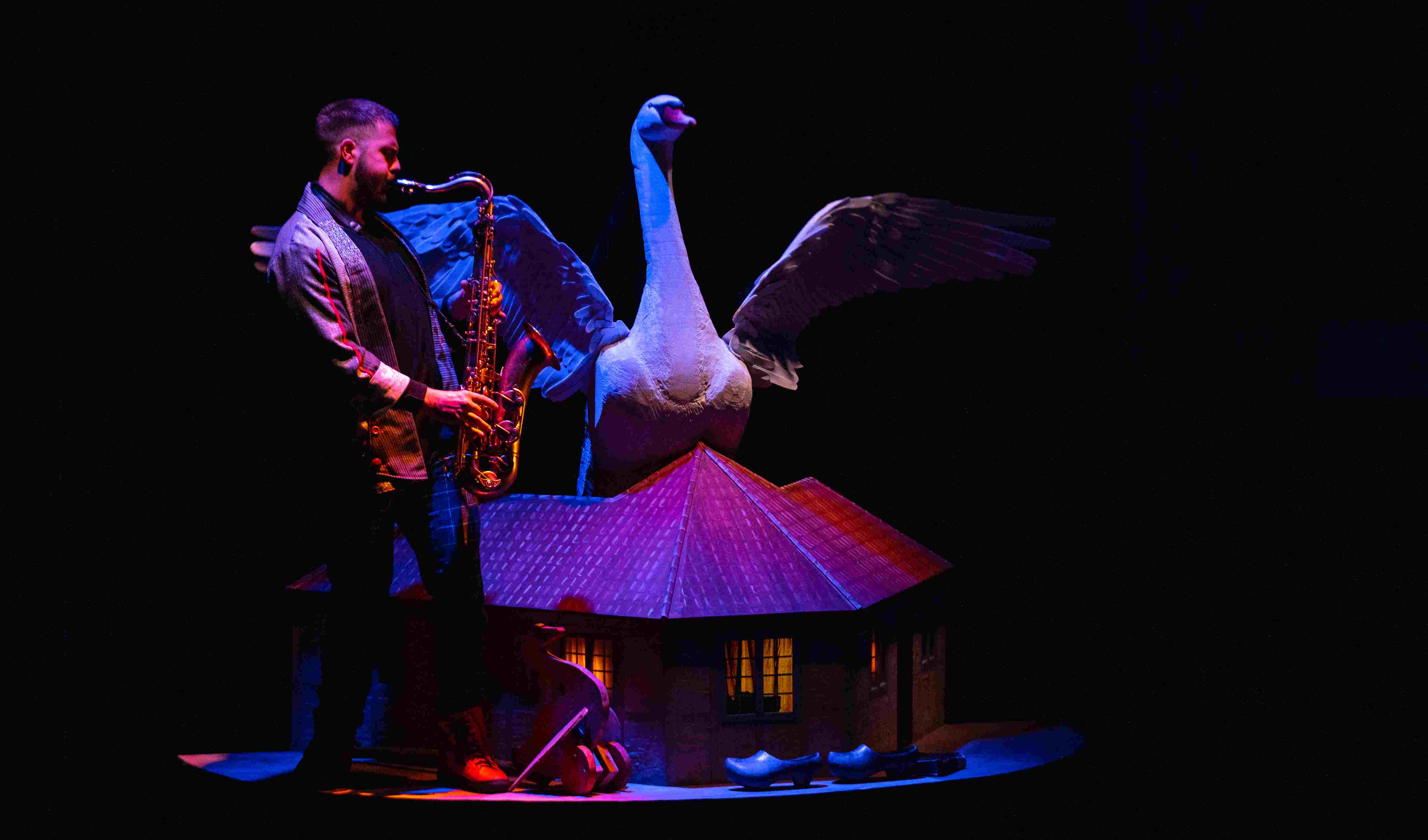 Imagen del espectáculo -  Andersen, el patito feo