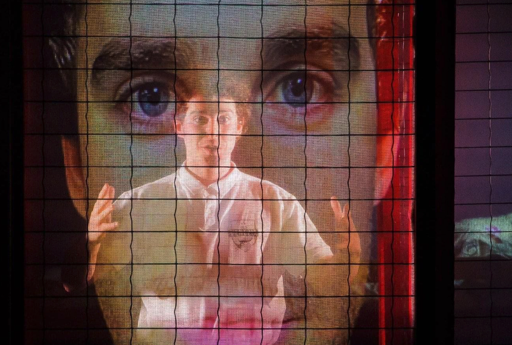 imagen del espectáculo - La metamorfosis de Gregor