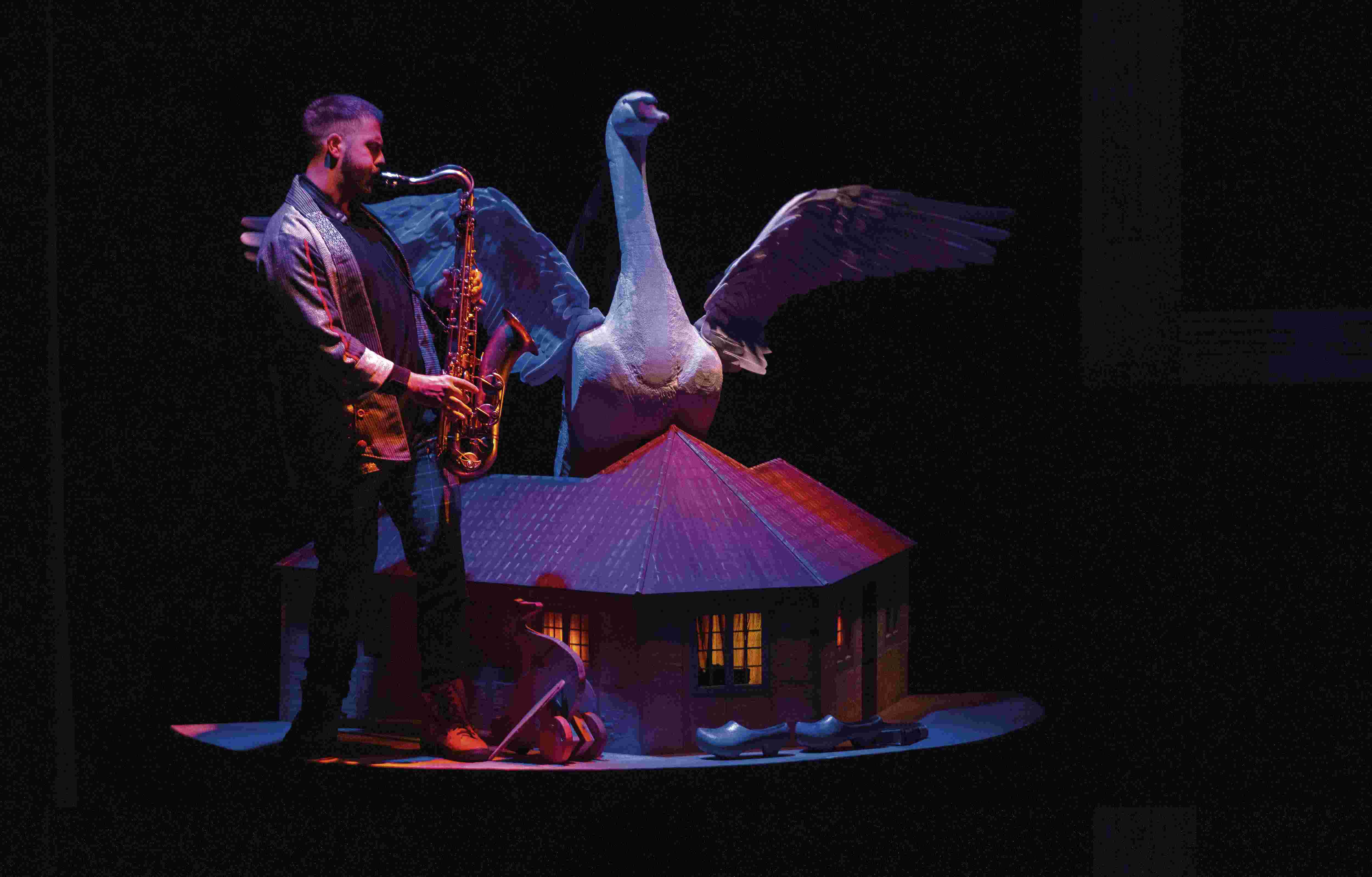 imagen del espectáculo - Andersen, el patito feo