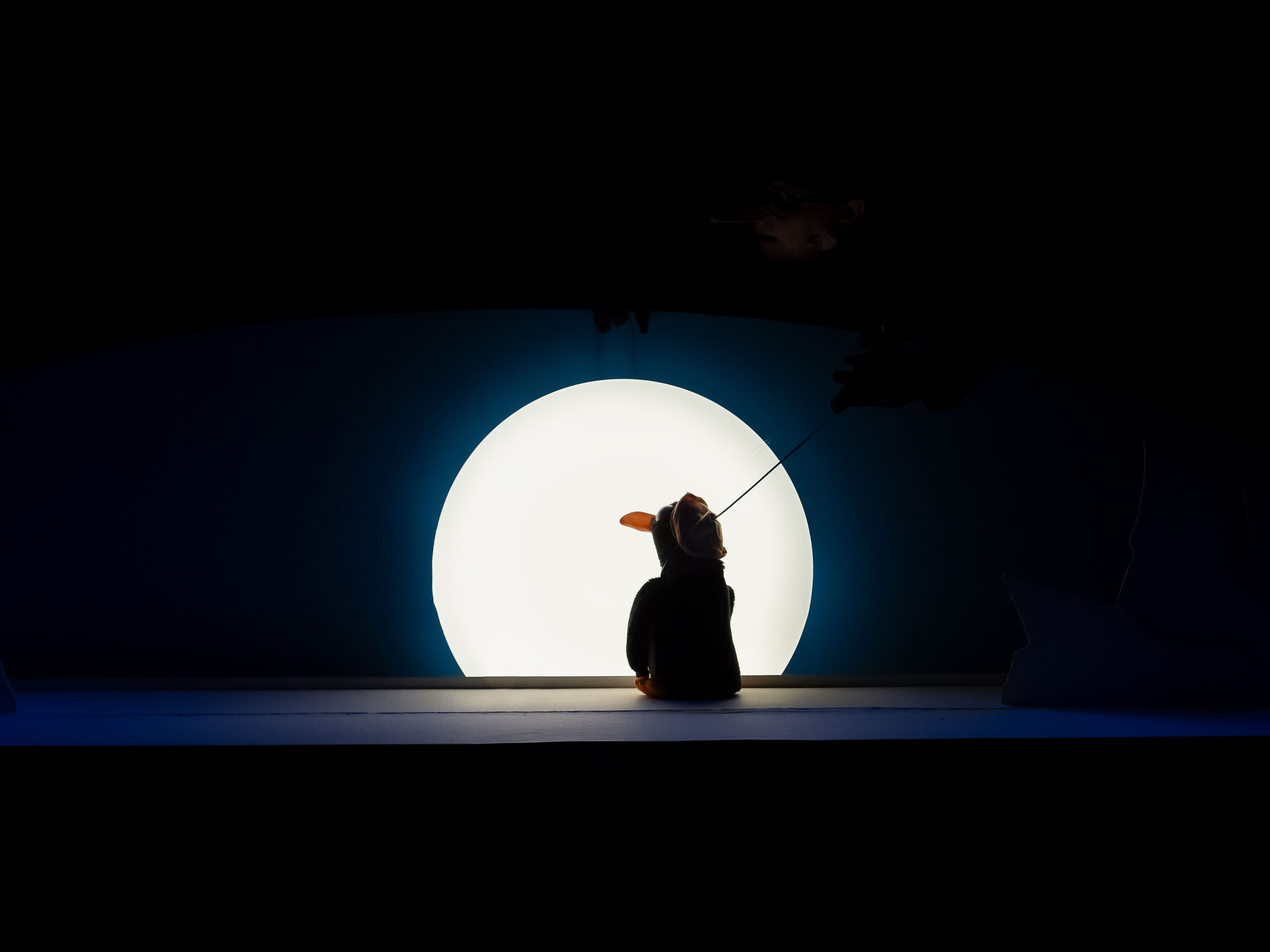 imagen del espectáculo - bobo
